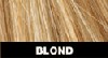 blond.jpg (3101 byte)